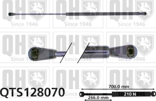 QUINTON HAZELL QTS128070 Baklukedemper