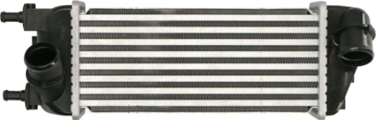 Intercooler THERMOTEC DAF015TT