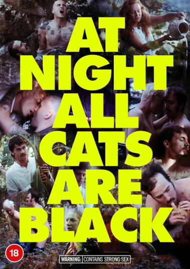 At Night All Cats Are Black 2022 DVD