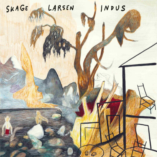 Skage Larsen Indus CD