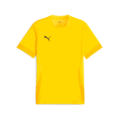Puma teamGOAL Matchday Jersey, treningstrøye, herre Yellow S