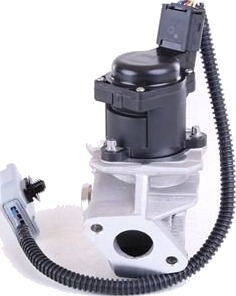 EGR Ventil NISSENS 98244 EGR Ventil NISSENS 98244
