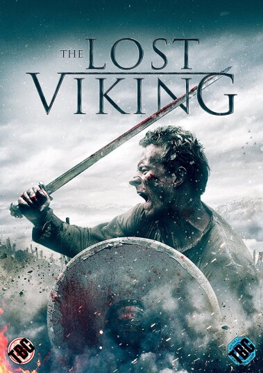 The Lost Viking DVD