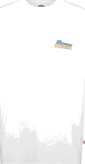 Dickies Tonopah Ss Tee WHITE S