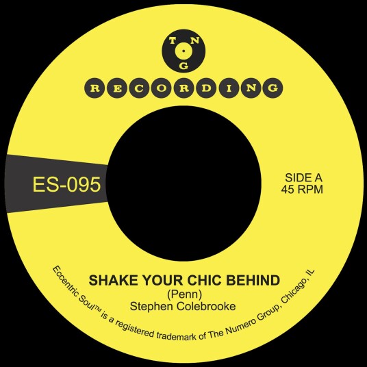 Stephen Colebrooke  Shake Your Chic Behind / Stay Away From Music  LP/Vinyl