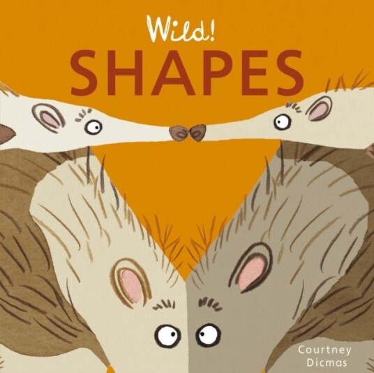 Shapes Shapes
