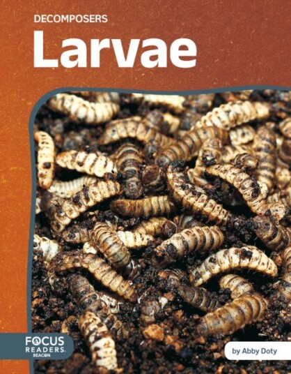 Decomposers: Larvae Decomposers: Larvae