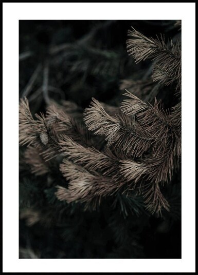 Fir Needle No. 2 Plakat Plakat / 40x50cm