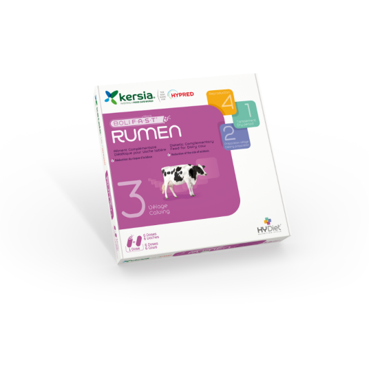 Bolus Rumen 12 St/fp