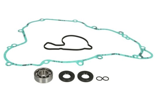Pakning vannpumpe WINDEROSA 821339