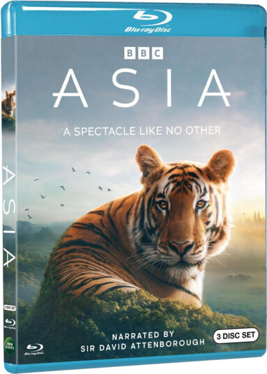 Asia 2024 Bluray