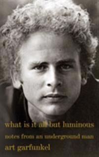 What Is It All But Luminous Av Art Garfunkel What Is It All But Luminous Av Art Garfunkel
