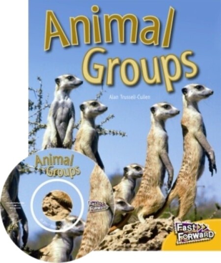 Animal Groups