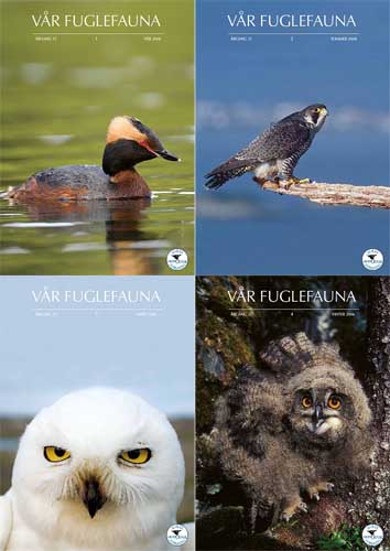 Norsk Ornitologisk Forening Vår Fuglefauna   2008  hele årgang 31