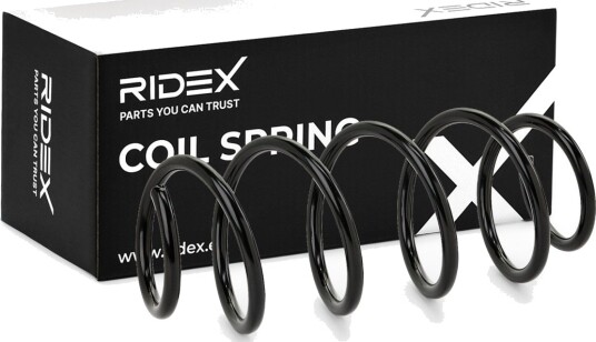 RIDEX 188C0313 Fjær