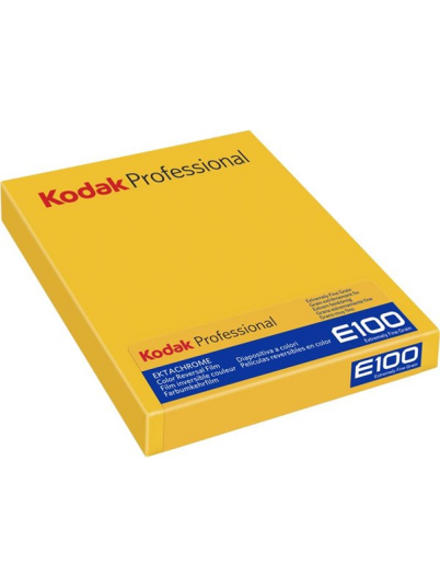 Kodak Ektachrome E100 8x10 10 Sheets