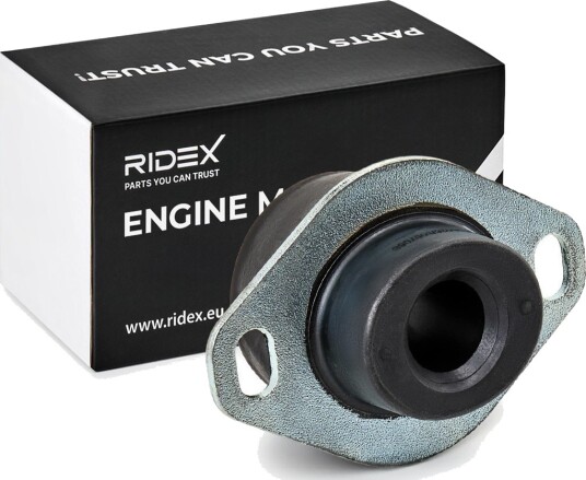 RIDEX 247E0066 Motorfeste