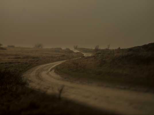 Natur21 av Preben Stentoft