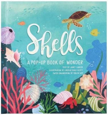 Shells A PopUp Book of Wonder Shells A PopUp Book of Wonder