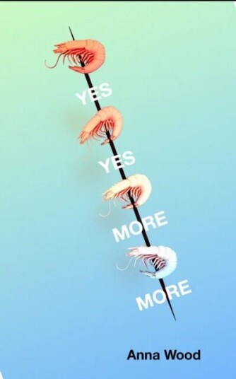 Yes Yes More More Av Anna (Author) Wood