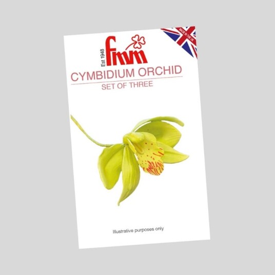 Fmm Utstikker Cymbidium Orkidé Sett/3 Fmm Utstikker Cymbidium Orkidé Sett/3