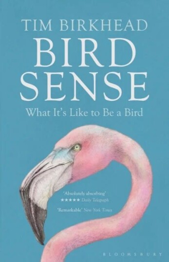 Bird Sense Av Tim Birkhead