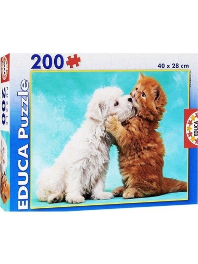 Educa Puzzle 300 Klassebilde