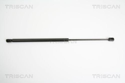 TRISCAN 8710 18211 Baklukedemper