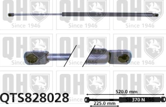QUINTON HAZELL QTS828028 Baklukedemper