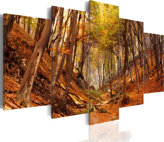 Bilde Orange Autumn 100x50 Artgeist sp. z o. o.