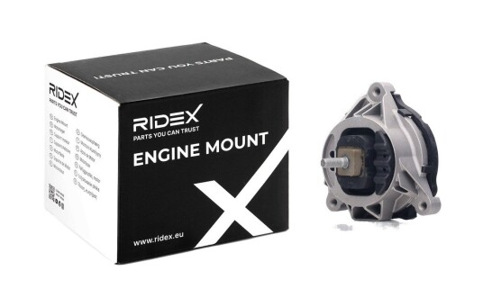 Motorfeste RIDEX 247E0668