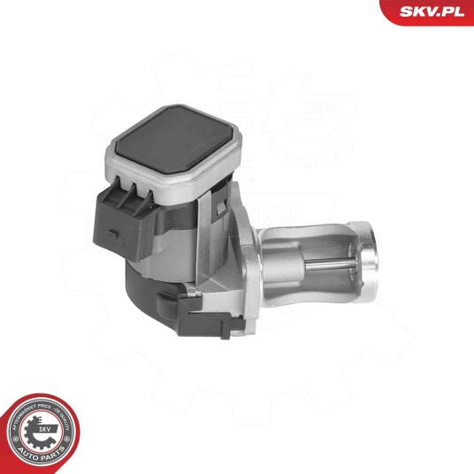 EGR Ventil ESEN SKV 14SKV324