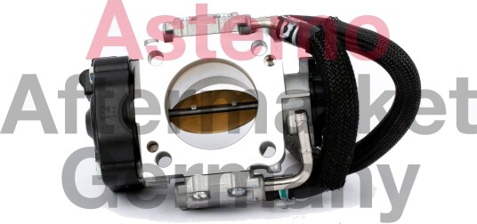 HITACHI 2508582 Gasspjeld