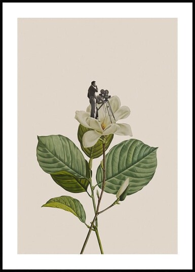 Botanical vintage cameraman Plakat Plakat / 30x40cm Botanical vintage cameraman Plakat Plakat / 30x40cm