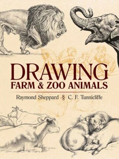 Drawing Farm And Zoo Animals Av Raymond Sheppard