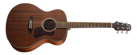 Walden G551ew
