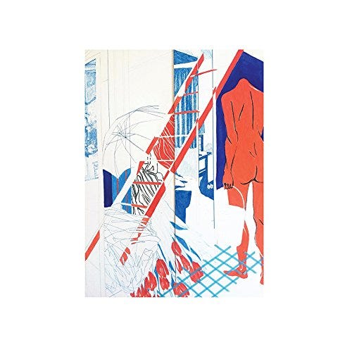 Palm  Shadow Expert  LP/Vinyl