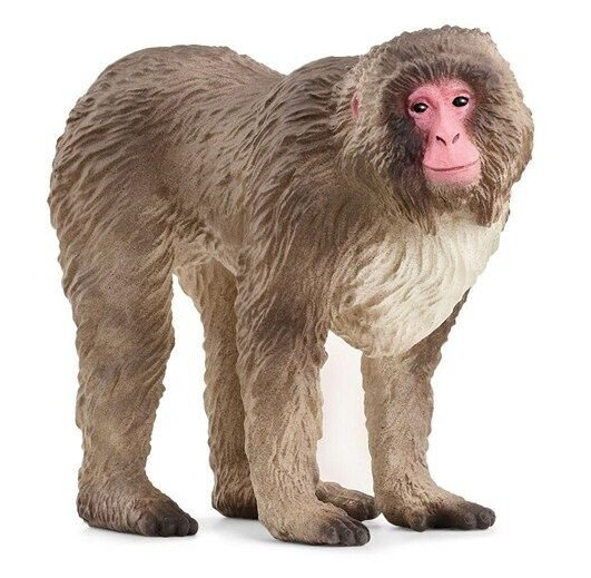 Schleich Japansk Makak Figur 6,9 cm - Naturtro Dyrefigur Schleich Japansk Makak Figur 6,9 cm - Naturtro Dyrefigur