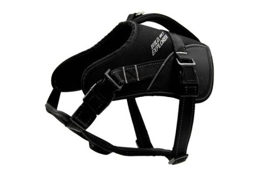 Zooland Zooland Wild Explorer Sele Sort L