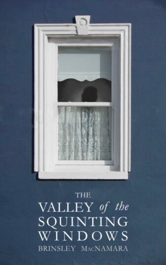 The Valley of the Squinting Windows The Valley of the Squinting Windows