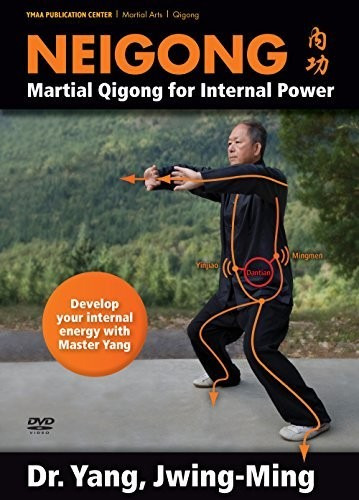 Neigon Martial Qigong For Internal Power DVD