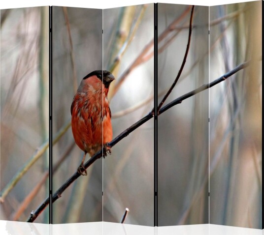 Romdeler - Bullfinch in the forest II 225x172 - Artgeist sp. z o. o.