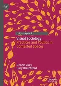 Zuev Dennis Visual Sociology