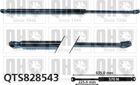 QUINTON HAZELL QTS828543 Baklukedemper