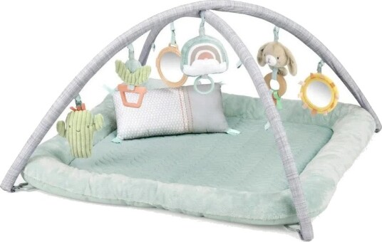 Ingenuity Calm Springs Babygym Med 6 Aktivitetsleker Supermyk