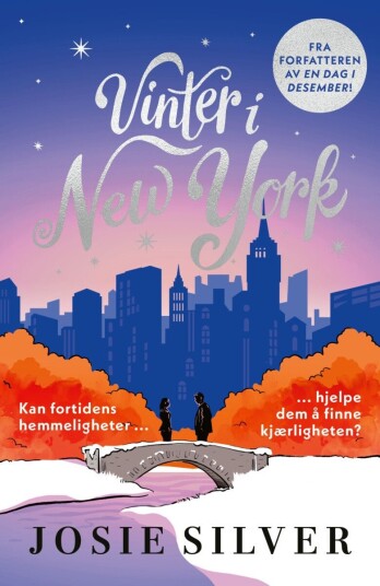 Vinter i New York Vinter i New York