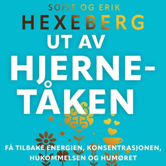Ut av hjernetåken