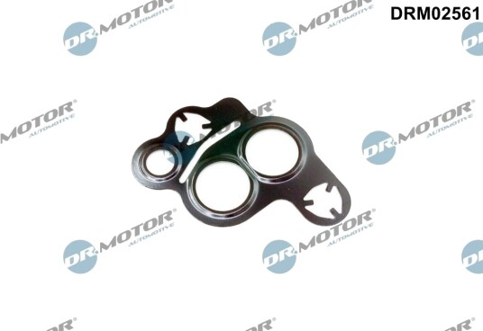 Tetning, EGR-ventil DR.MOTOR AUTOMOTIVE DRM02561