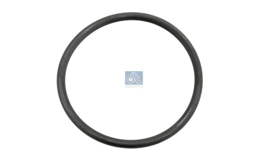 DT Spare Parts 6.30069 Pakning vannpumpe