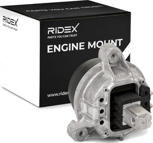 RIDEX 247E1049 Motorfeste